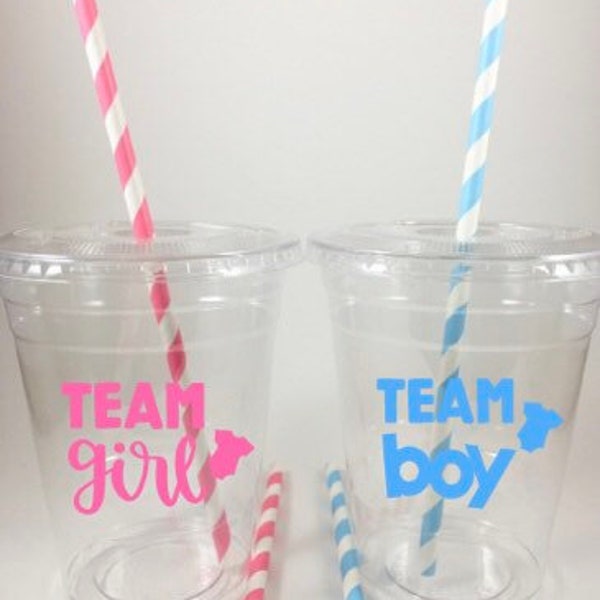 Team Girl Boy Baby Gender Party Cups Pink Blue Cup Set With Lids Straws