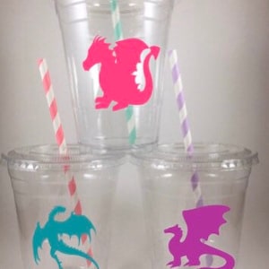 Dragon Party Cups GIRL COLORS Dragons Birthday PERSONALIZED Disposables