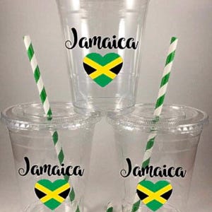 Jamaica PARTY CUPS Jamaican Flag Birthday With Lids Straws Personalized Disposables