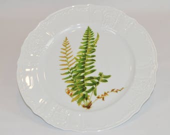 Angelique 12" white dinner plate (shown with image #f30 - Fern shoots)