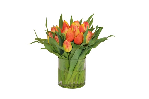 Yellow Red Tulips In A Cylinder Vase The French Bee Etsy