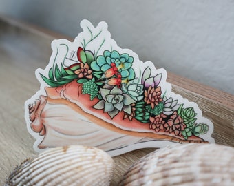 Conch Shell Succulents Sticker