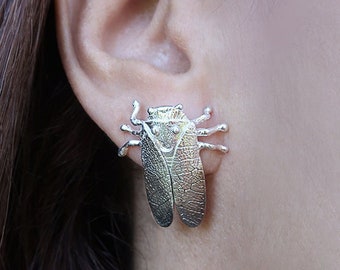 Stud Silver Cicada Earrings, Insect Jewelry, Unusual Earrings