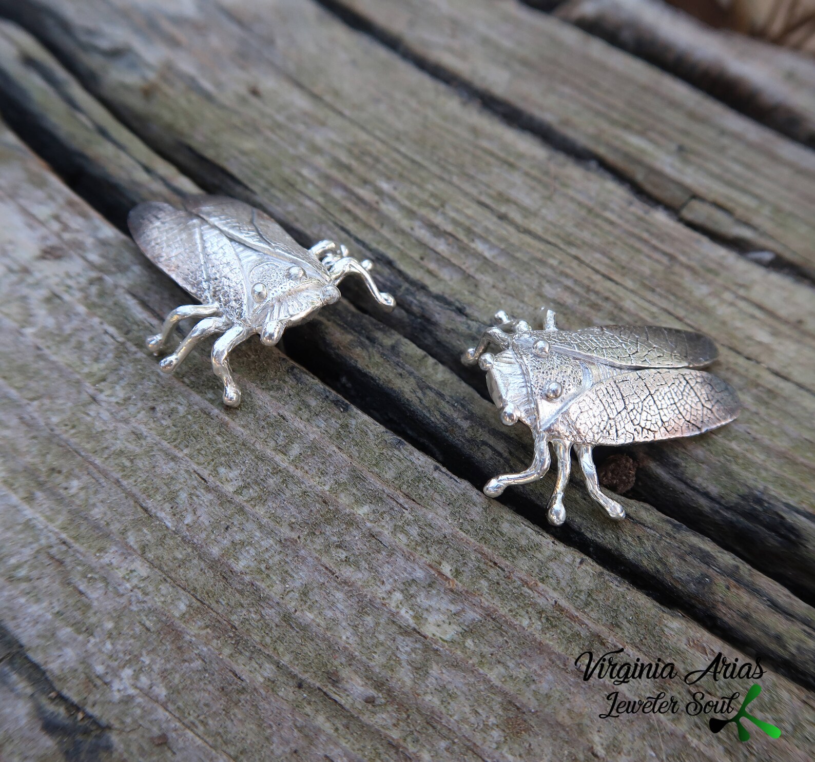 Cicada Post Earrings - Sterling Silver main image 1