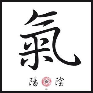 Kanji Leinwandbilder Kalligraphie Schriftzeichen Werte, Begriffe, Synonyme Bild 6