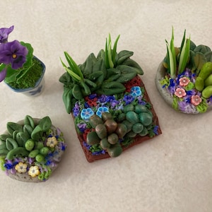 Feengarten Bauerngarten, Miniatur Feengarten, kleiner Garten, Minigarten, Puppenhaus, Garten, Sammler, Polymer Clay Garten