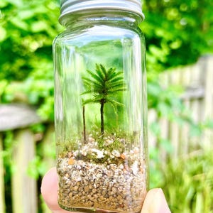 The Little Tree Terrarium Kit,  Live Moss Terrarium Self Sustain DIY Kit,  Perfect Gift Idea, Handmade American Tree Moss Terrarium