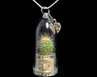 Wearable Cactus Necklace / Mini Cactus Terrarium Necklace / Miniature Terrarium / Nature Jewelry Necklace