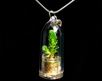 Wearable Succulent Necklace / Mini Ever Green Succulent Terrarium Necklace / Miniature Terrarium / Nature Jewelry Necklace