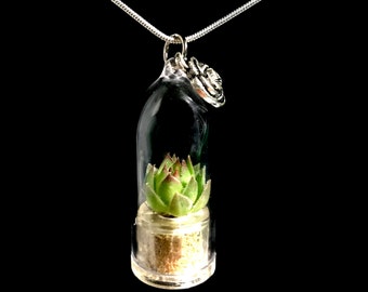 Live Terrarium Necklace / Live Succulent Necklace / Miniature Succulent Necklace / Wearable Lotus Succulent Necklace