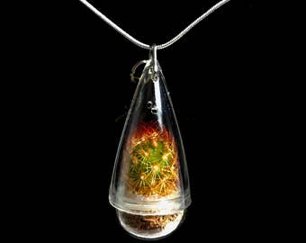 Cactus Necklace / Golden Star Cactus Terrarium Necklace /  Keychain Plants / Miniature  Terrarium / Keychain Plant / Golden Cactus