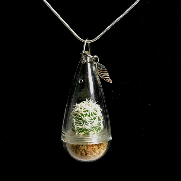 Cactus Stone Necklace main image 0