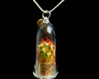 Cactus Necklace / Golden Star Cactus Terrarium Necklace /  Miniature  Terrarium / Live Cactus Terrarium Perfect Gift