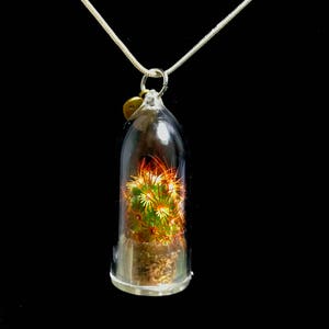 Cactus Necklace / Golden Star Cactus Terrarium Necklace /  Miniature  Terrarium / Live Cactus Terrarium Perfect Gift