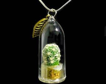 Live Cactus Necklace / Moonlight Cactus / Terrarium Necklace / Miniature Terrarium / Wearable Plant Perfect Gift