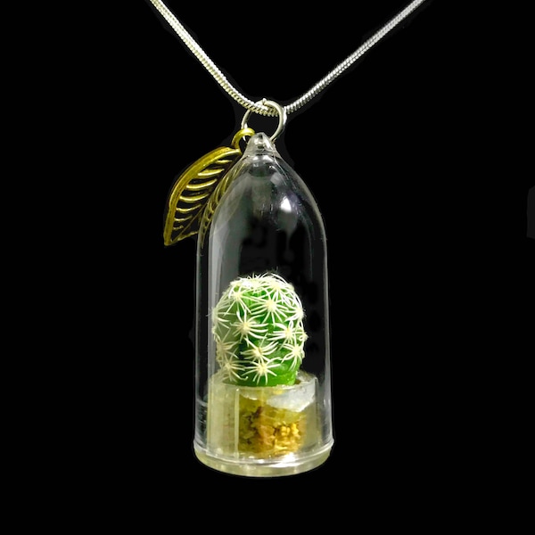 Live Cactus Necklace / Moonlight Cactus / Terrarium Necklace / Miniature Terrarium / Wearable Plant Perfect Gift