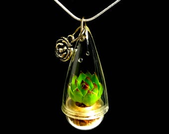 Live Succulent Necklace / Mini Lotus Succulent Terrarium Necklace / Miniature Terrarium / Exotic Succulent Plants / Perfect Gift for Her