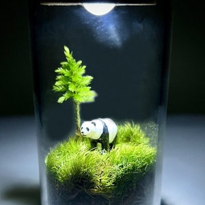 Miniature Live Moss Terrarium with Hand Painted Panda, Self Sustain Eco-Friendly Panda Terrarium, Perfect Gift for Nature Lovers