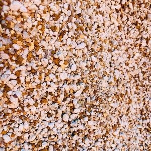 2 lb (1.5 Quarts) Gritty Mix Pumice Based / Excellent Soil-less Potting Medium / Perfect Potting Soil for Lithops Succulent image 5