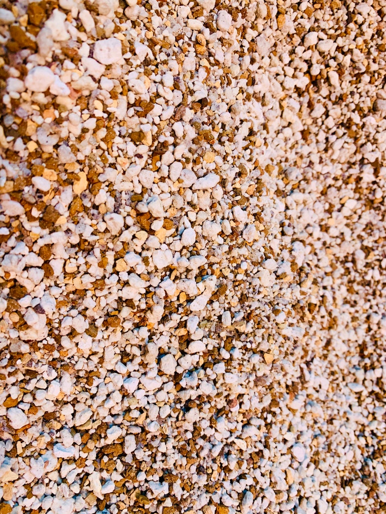 2 lb (1.5 Quarts) Gritty Mix Pumice Based / Excellent Soil-less Potting Medium / Perfect Potting Soil for Lithops Succulent image 5