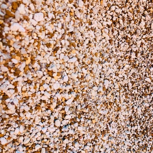 2 lb (1.5 Quarts) Gritty Mix Pumice Based / Excellent Soil-less Potting Medium / Perfect Potting Soil for Lithops Succulent image 2