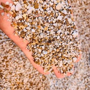 2 lb (1.5 Quarts) Gritty Mix Pumice Based / Excellent Soil-less Potting Medium / Perfect Potting Soil for Lithops Succulent image 3