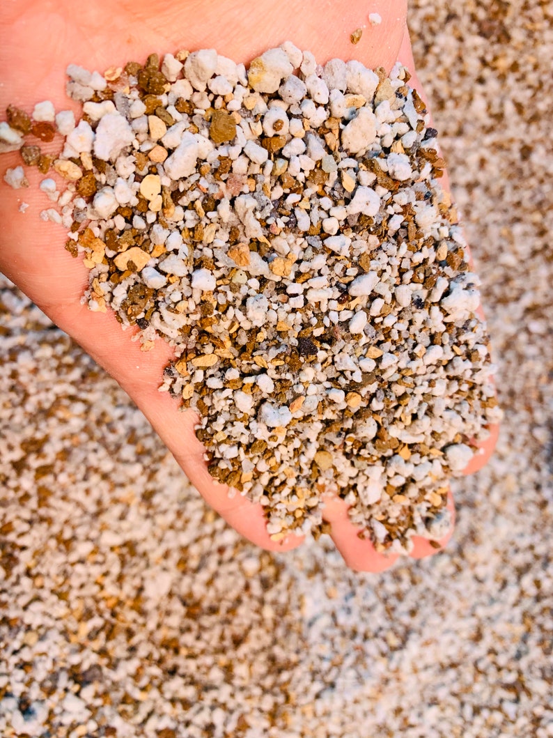2 lb (1.5 Quarts) Gritty Mix Pumice Based / Excellent Soil-less Potting Medium / Perfect Potting Soil for Lithops Succulent image 3