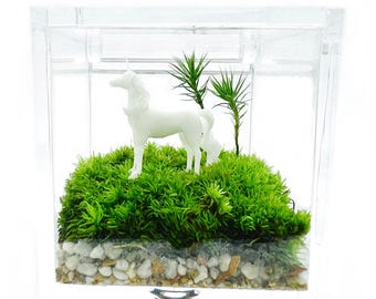 Miniature Live Moss Terrarium with Cute Unicorn, Eco-Friendly Perfect Gift for Nature Lovers, Unicorn Terrarium with Live Moss