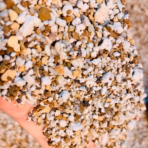 2 lb (1.5 Quarts) Gritty Mix Pumice Based  / Excellent Soil-less Potting Medium / Perfect Potting Soil for Lithops Succulent