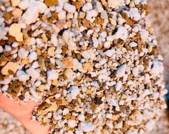 2 lb (1.5 Quarts) Gritty Mix Pumice Based  / Excellent Soil-less Potting Medium / Perfect Potting Soil for Lithops Succulent