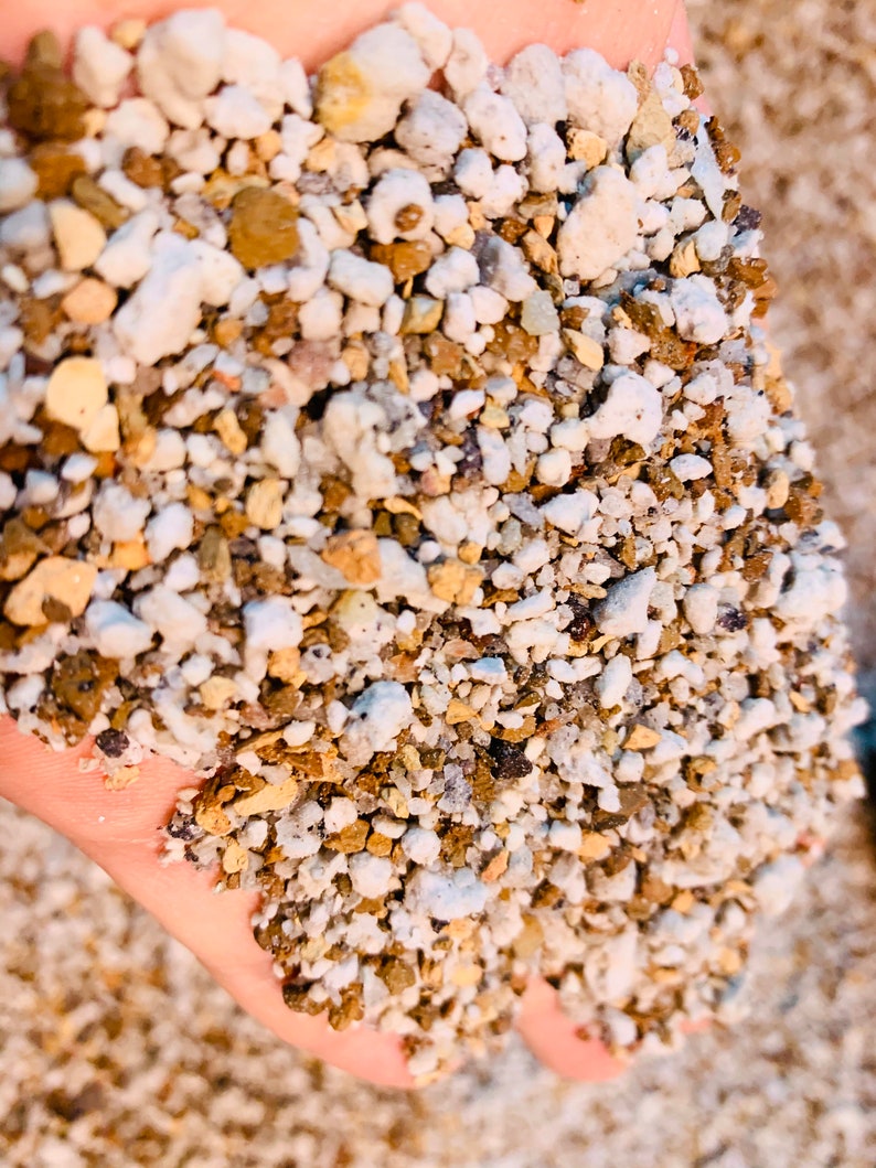 2 lb (1.5 Quarts) Gritty Mix Pumice Based  \/ Excellent Soil-less Potting Medium \/ Perfect Potting Soil for Lithops Succulent