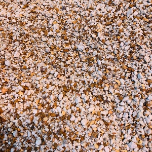 2 lb (1.5 Quarts) Gritty Mix Pumice Based / Excellent Soil-less Potting Medium / Perfect Potting Soil for Lithops Succulent image 4