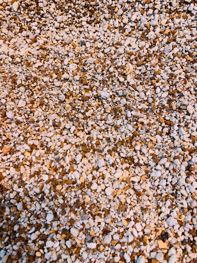 2 lb (1.5 Quarts) Gritty Mix Pumice Based / Excellent Soil-less Potting Medium / Perfect Potting Soil for Lithops Succulent image 4