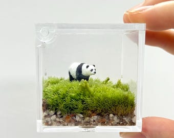 Miniature Live Moss Terrarium with Cute Hand Painted Panda Figurine, Eco-Friendly Perfect Gift for Nature Lovers, Panda Terrarium