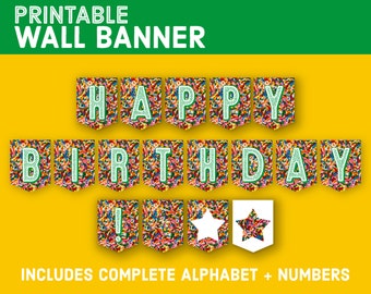 Instant Download Customizable Party Banner - DIY Printable Pennant - Printable Happy Birthday Decor - Baby Decoration Garland Bunting S1284