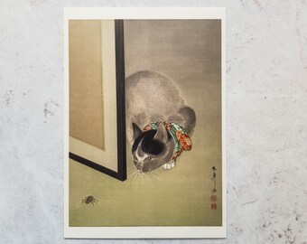 Premium Postcard: Cat Watching a spider / Vintage