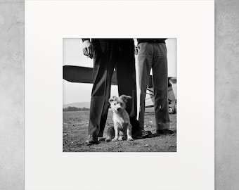 Fotoafdruk met passe-partout; Hond