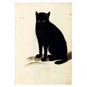 Cartolina premium / Poster polacco Catus Niger Mini poster / Vintage 17 x 12 cm