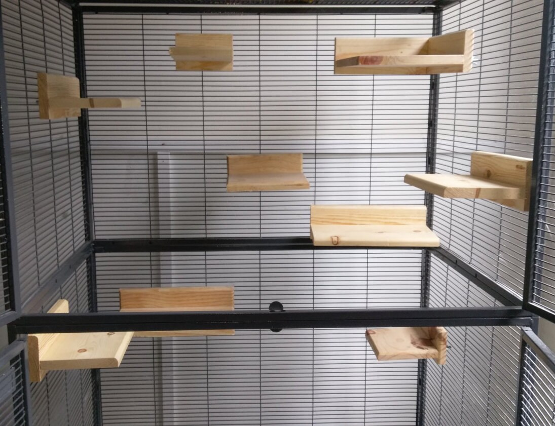 Chinchilla Ledge 9pc Set Poop Guard Etsy