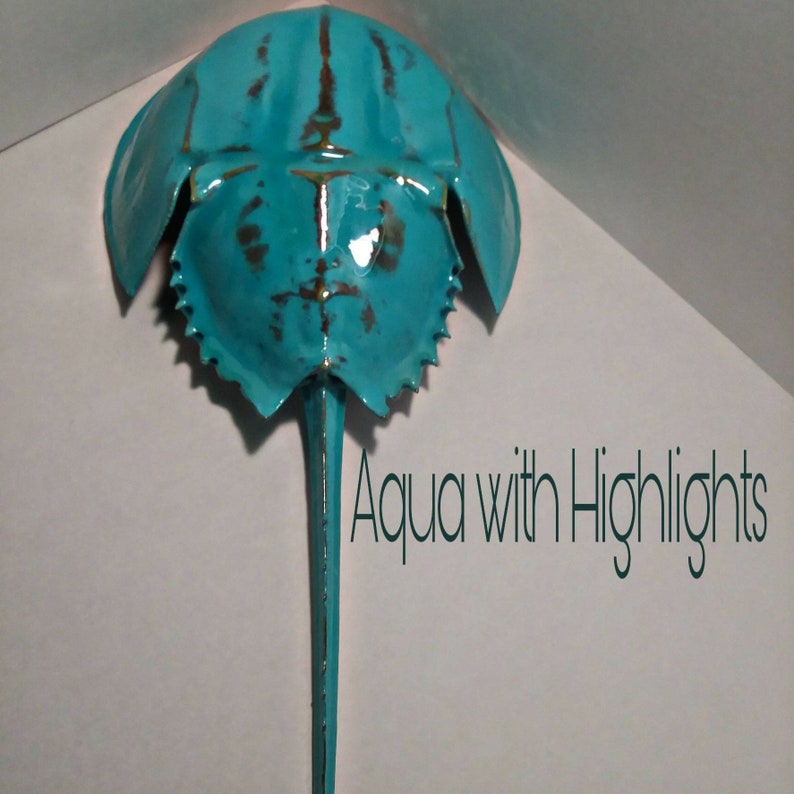 Large Horseshoe Crab Hanging Wall Decor Sea Life Nautical Etsy Israel