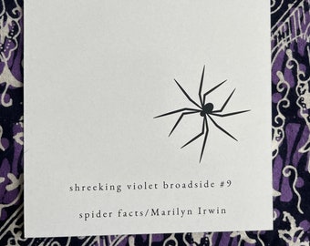 Broadside #9: spider facts by Marilyn Irwin