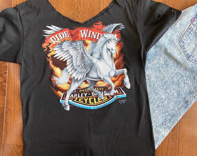 1990 3D Ride with the Wind Hand Cut Tee