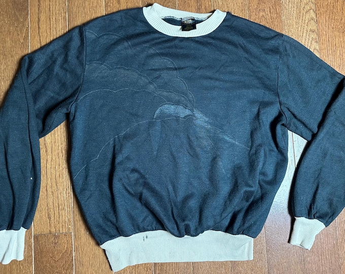 1980s Sears Style Works for Teens Eagle Sweatshirt Medium