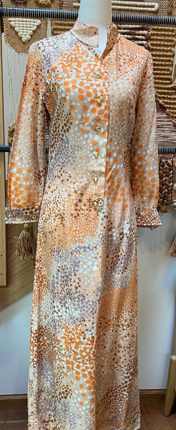 1970's Cheekaberry Disco Dress - image 1