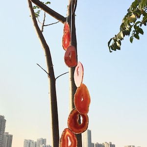 May include: An agate slice wind chime, featuring shades of red, orange and pink, hanging from a wooden ring on a tree branch. The chime is outdoors against a blue sky.