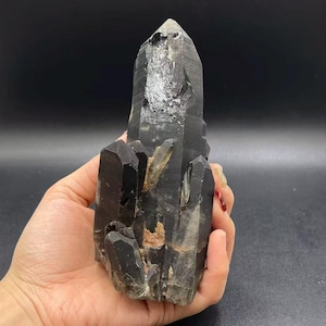 Op de afbeelding: Een donkere, rokerige kwartskristalgroep met een prominente centrale punt en meerdere kleinere kristalformaties. Het kristal wordt in een hand gehouden en toont zijn natuurlijke, ruwe textuur en diepe, houtskoolkleur.