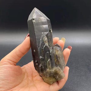 Op de afbeelding: Een donker, rokerig kwartskristal met een puntige punt en een ruw, getextureerd oppervlak. Het kristal heeft een diepe, houtskoolkleur met hints van bruin en grijs. Het kristal wordt in een hand gehouden tegen een donkere achtergrond.