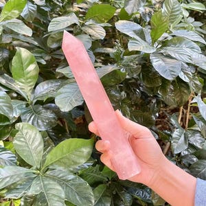 9,6" Superlange rozenkwarts puntstok Madagaskar Rozenkwartskristal torenpunt Extra lange rozenkwarts helende liefdessteen CD-L01 OB