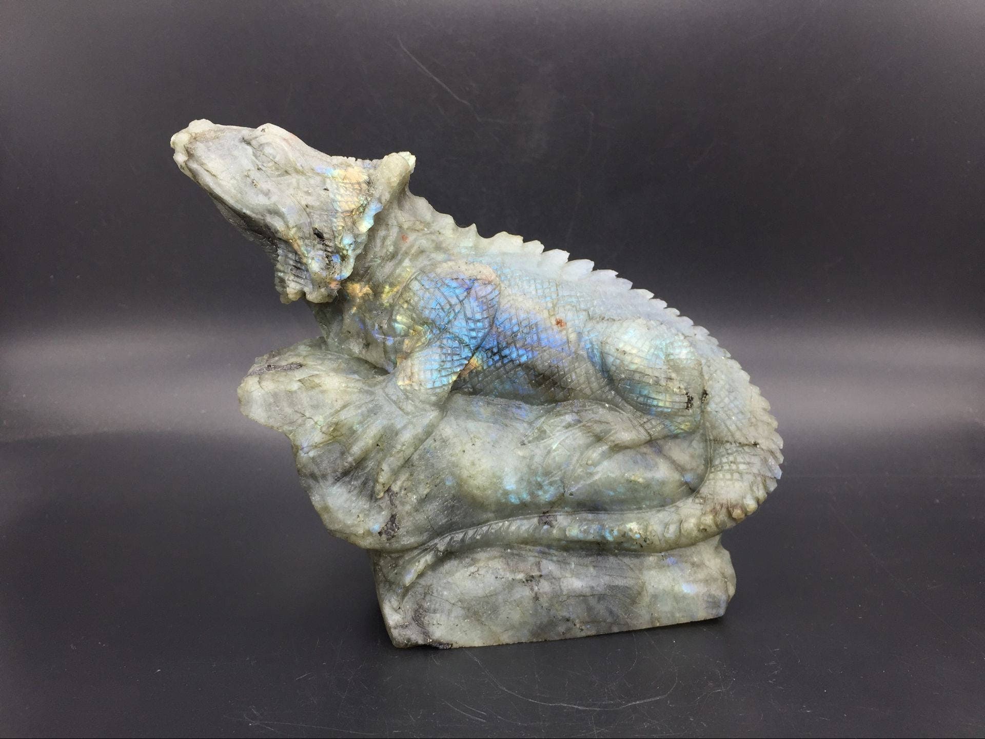Labradorite Lizard Figurine Realistic Lizard on Deadwood - Etsy