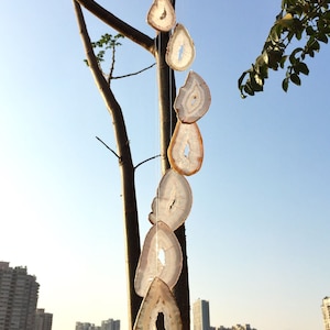 May include: A crystal wind chime with seven agate slices hanging from a brass ring. The slices are translucent and have a natural, earthy colour. The wind chime is hanging from a tree branch against a blue sky.